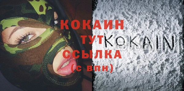 прущие грибы Абинск